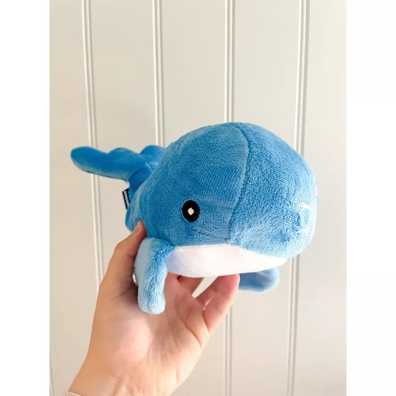 Oshi the Whale