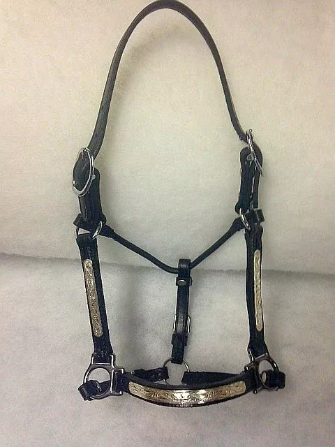 Ozark Performance Halter with Silver Mini/Pony