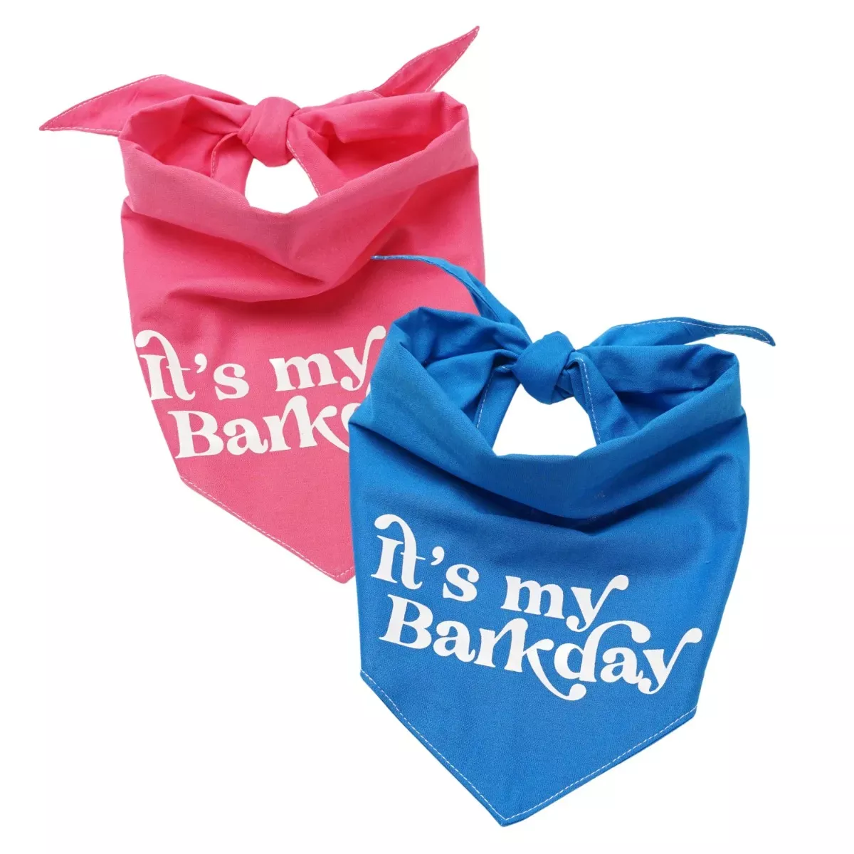 The Paws Dog Bandana - It's My Barkday