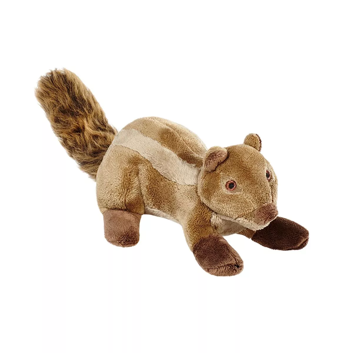 Peanut Chipmunk