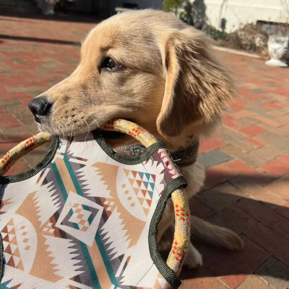 Pendleton Flying Disc Rope Dog Toy