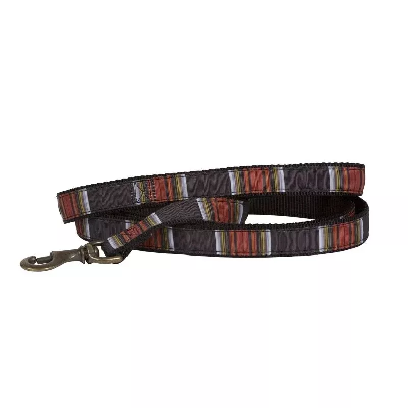 Pendleton Hiker Acadia Dog Leash