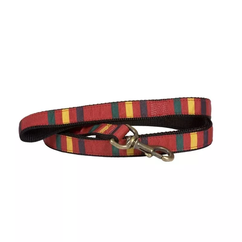 Pendleton Hiker Rainier Dog Leash