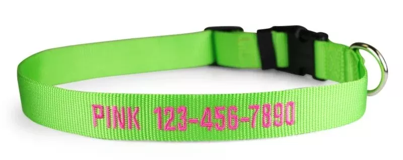 Personalized Lime Zest Nylon Dog Collar