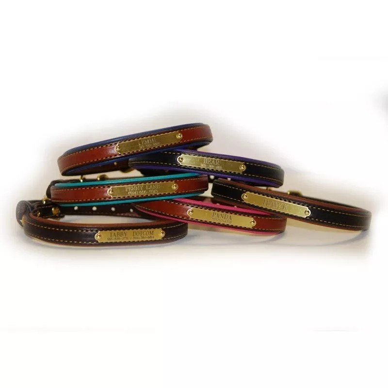 Personalized Padded Leather Dog Collar