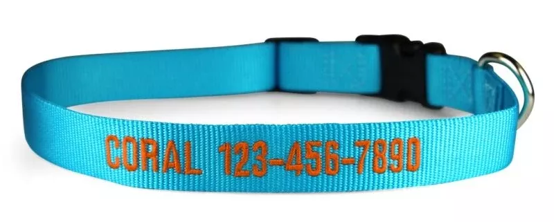 Personalized Sunny Blue Nylon Dog Collar
