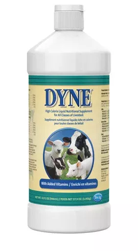 PetAg Dyne High Calorie Liquid Livestock Supplement – 32 oz.