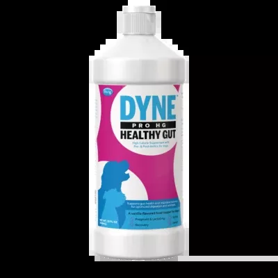 PetAg Dyne™ PRO HG Healthy Gut for Dogs