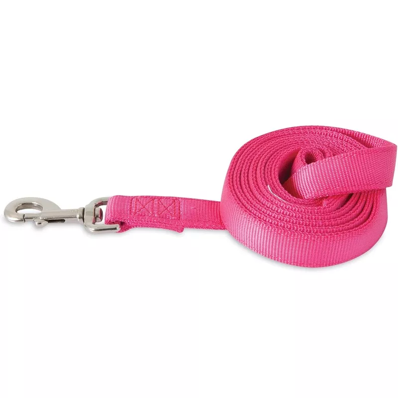 Petmate Pink 6′ Nylon Lead / Leash