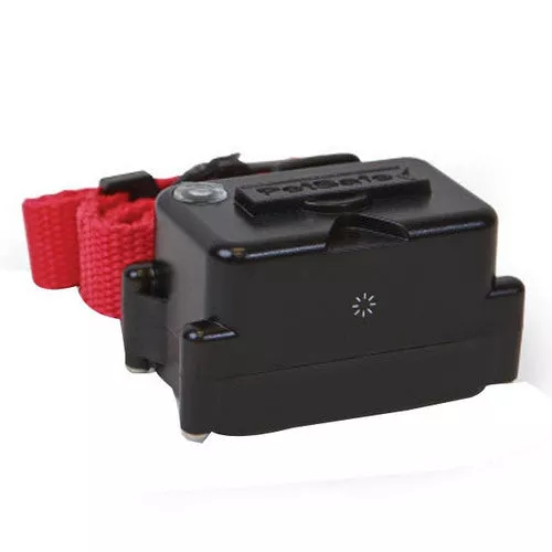PetSafe, Stubborn Dog Receiver Collar Red, Black, 1 Count