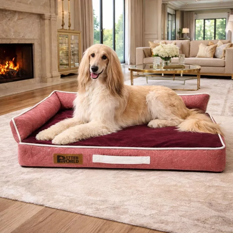 Petter World LowRise SofaLuxury Orthopedic Memory Foam Dog Bed with Bolster Support | Removable Washable Cover | Cooling Option | For Large & Senior Dogs