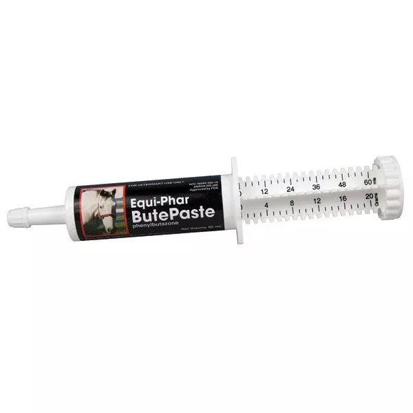 Phenylbute Paste 20gm Tube