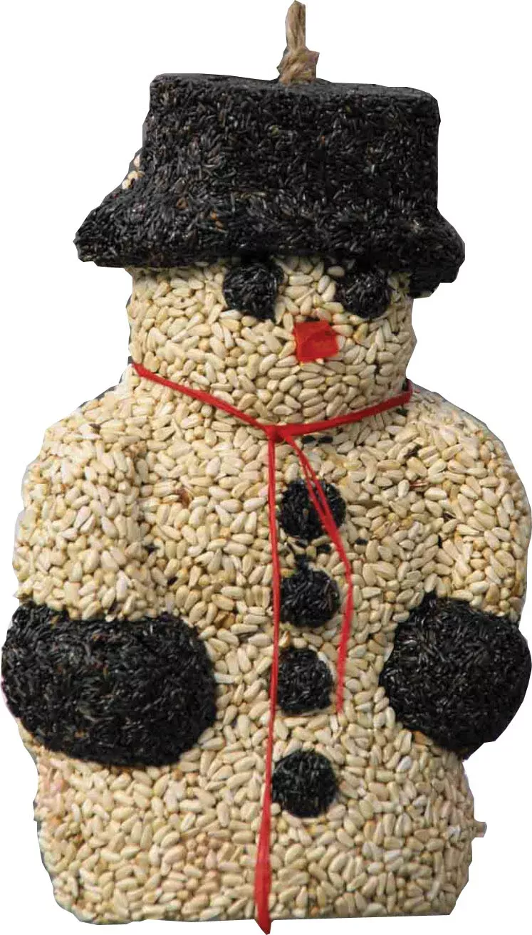 Pine Tree Farms Mr Sno E Mann Seed Wreath