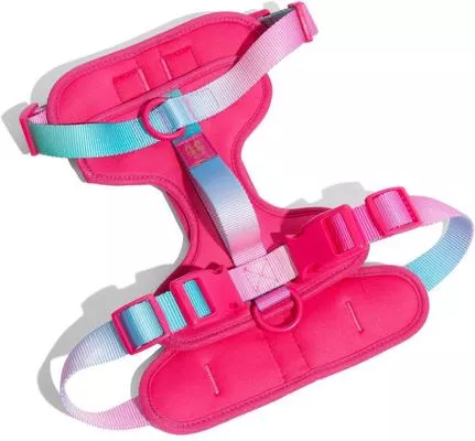 Pink Papyrus - Stasia Dark Pink Harness