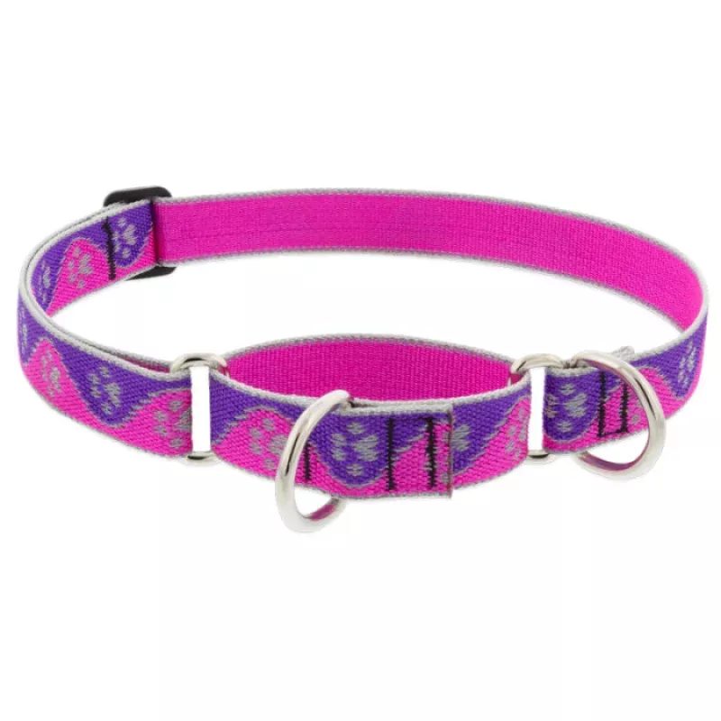 Pink Paw Martingale