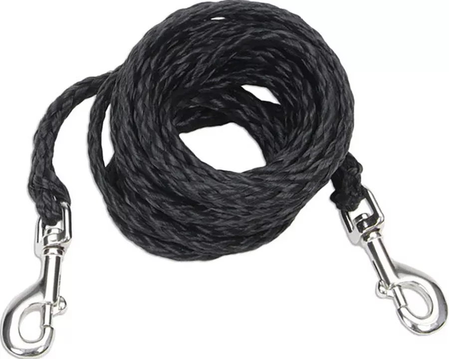 Poly Big Dog Tie Out