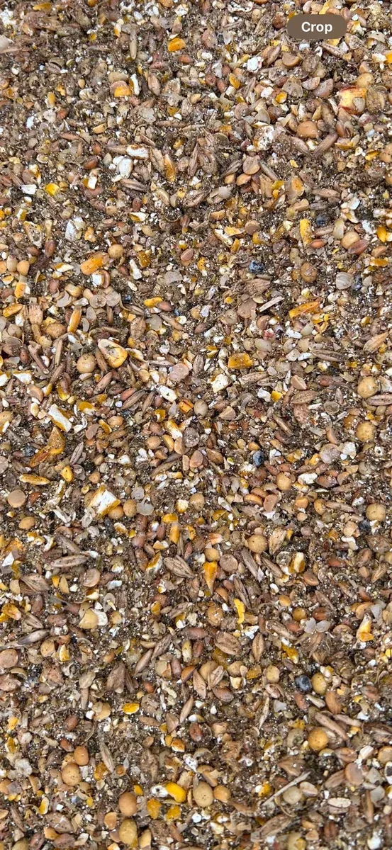 Premium 22% Protein Chick Starter Feed