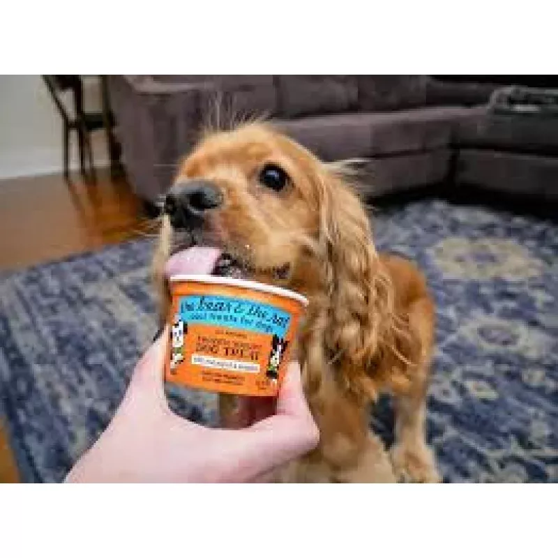 Pumpkin & Cinnamon Fro Yo