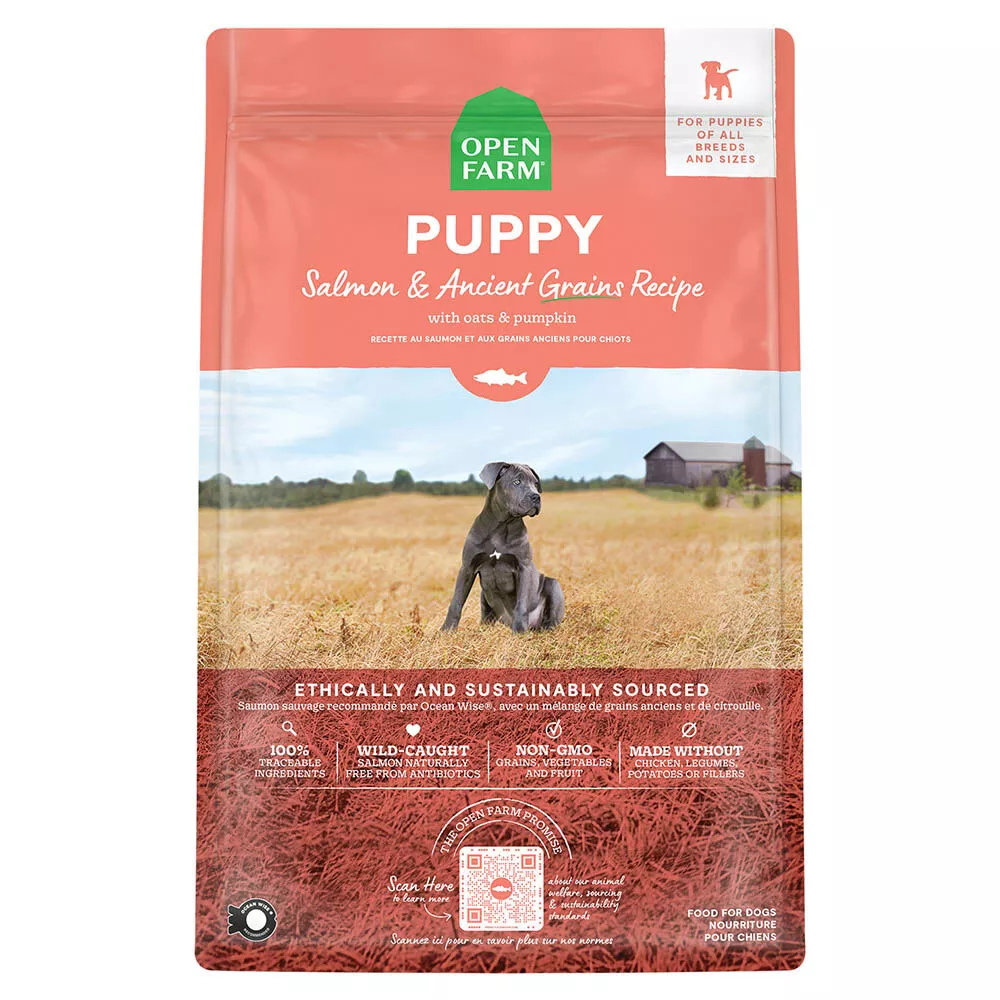 Puppy Salmon & Ancient Grains Recipe - 9.98 kg - Dry Dog Food