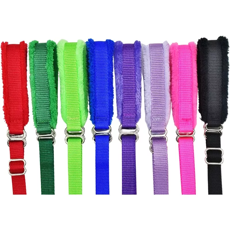 Puppy Walking Leads Red