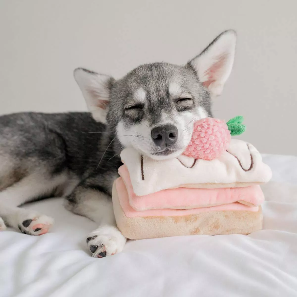 Pups & Bubs Strawberry Mille-Feuille Nosework Toy