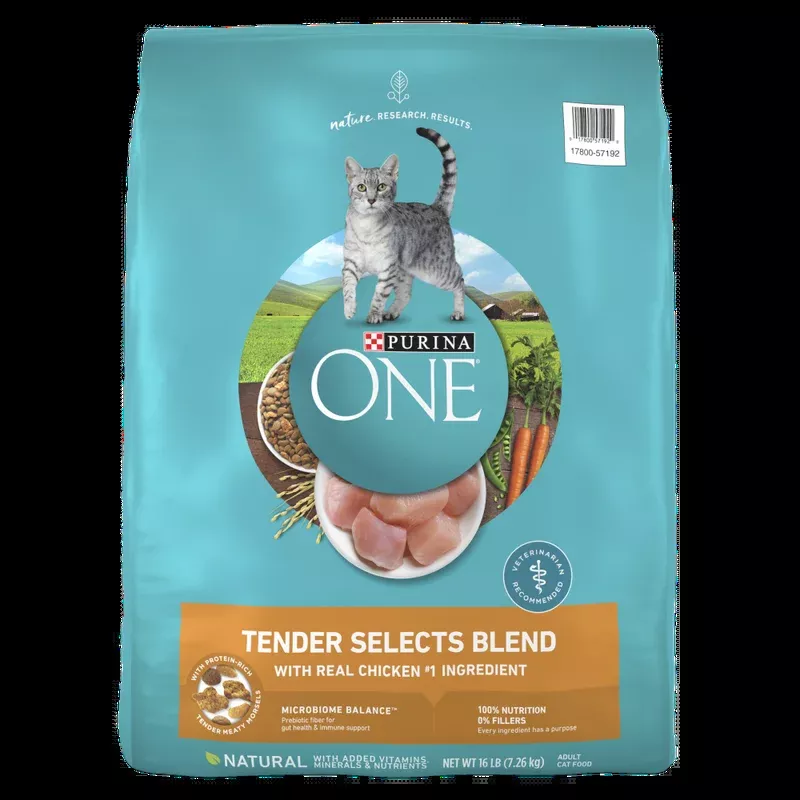 Purina ONE Tender Selects Blend with Real Chicken Dry Cat Food