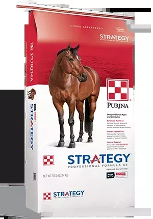 Purina Strategy Professional Formula GX Horse Feed