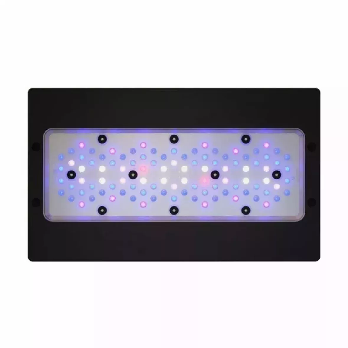 Radion XR30 G6 Blue LED Light Fixture