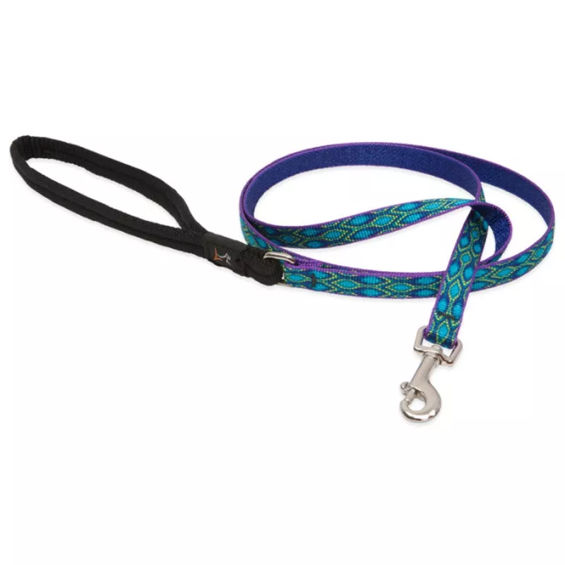 Rain Song Leash