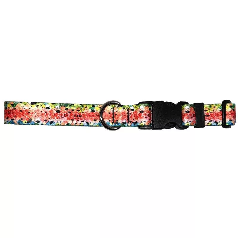Rainbow#3 Trout Dog Collar