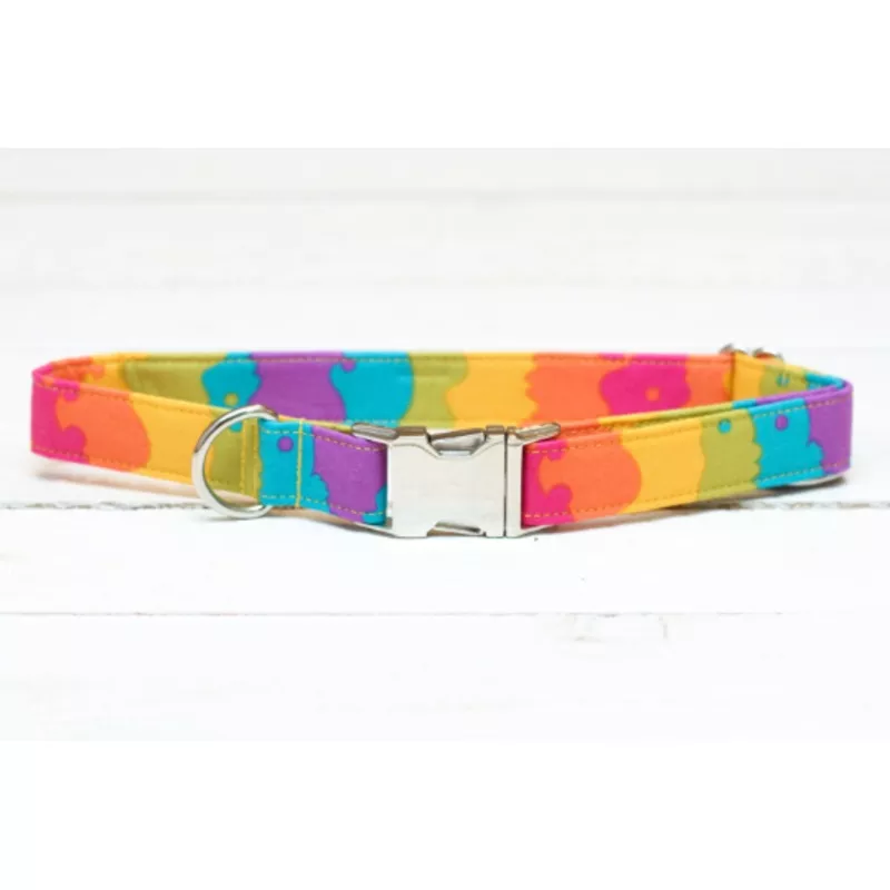 Rainbow Dog Collar