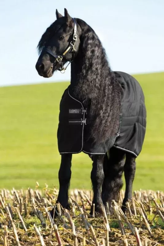 Rambo Stable Blanket 200g