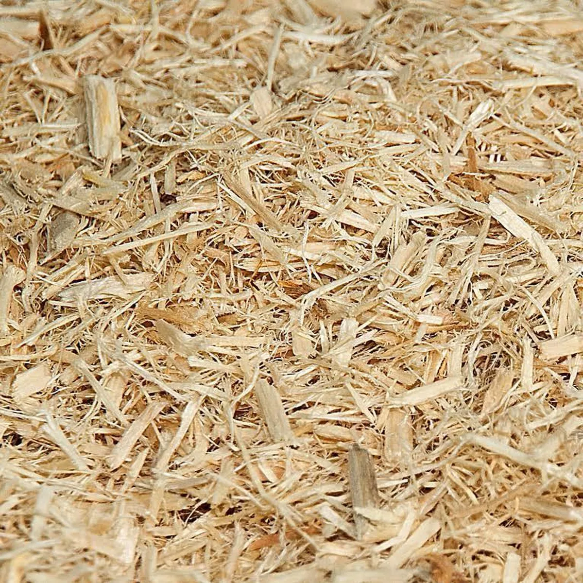 Rapeseed 20kg Flaked Wood Bedding