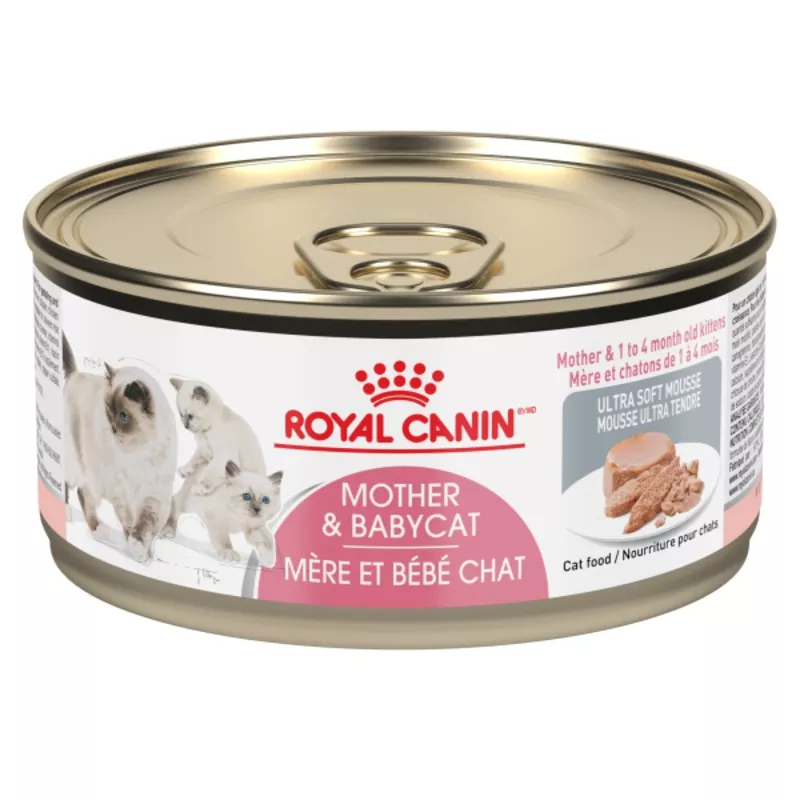RC FHN Mother & Babycat Ultra Soft Mousse 24/145 gm