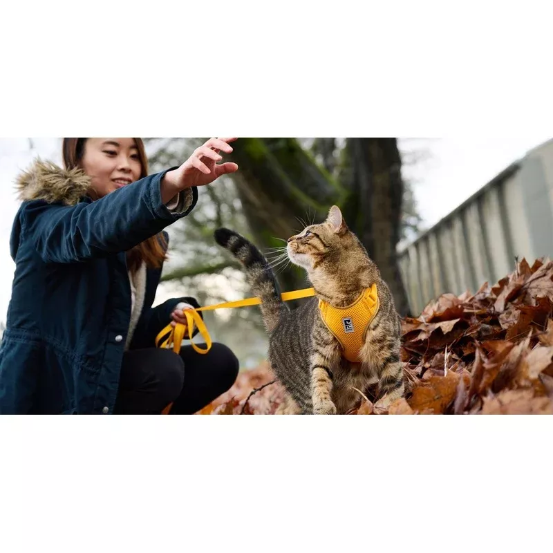 RC Pets Adventure Kitty Harness Marigold