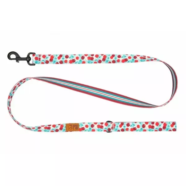 RC Pets Eco Leash for Dogs