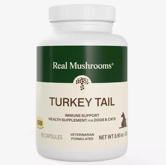 Real Mushrooms | Organic Turkey Tail Capsules – 90 Count