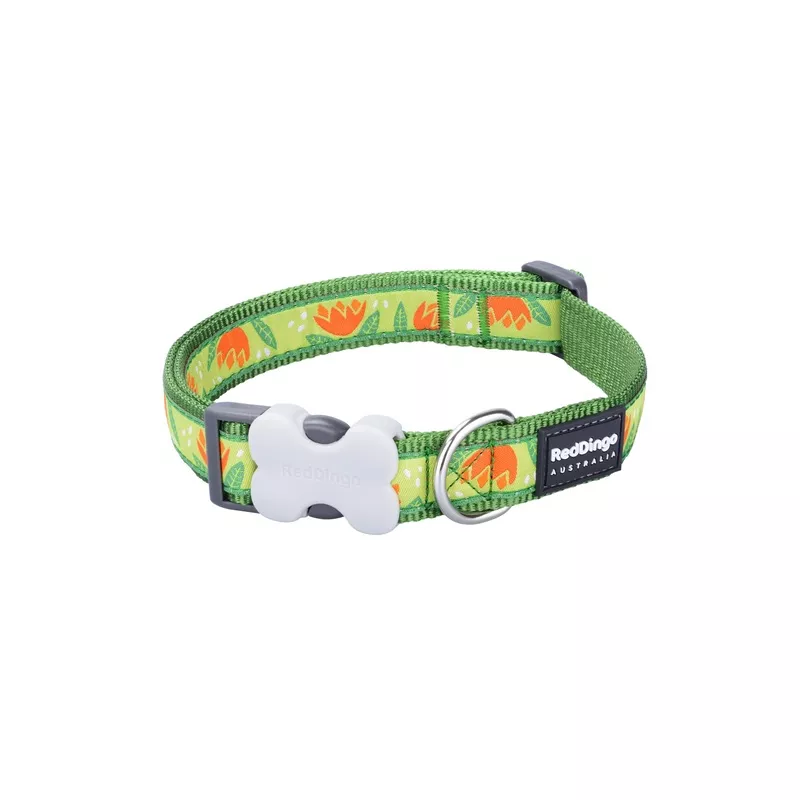 Red Dingo Dog Collar Design Tropical Green