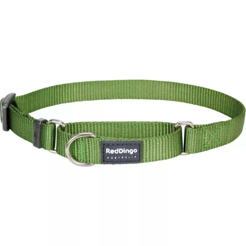 Red Dingo Martingale Green Medium 20mm