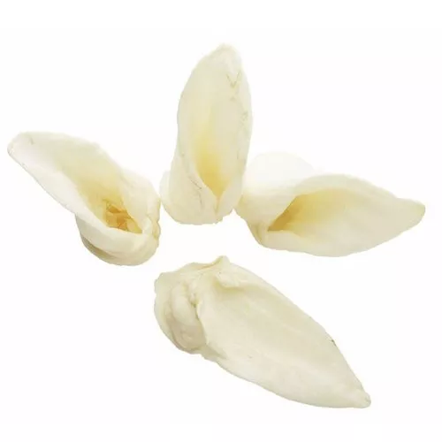 Redbarn Pet Products, Redbarn Pet Products Lamb Ears Dog Chew, 0.5 Oz (Case Of 50)