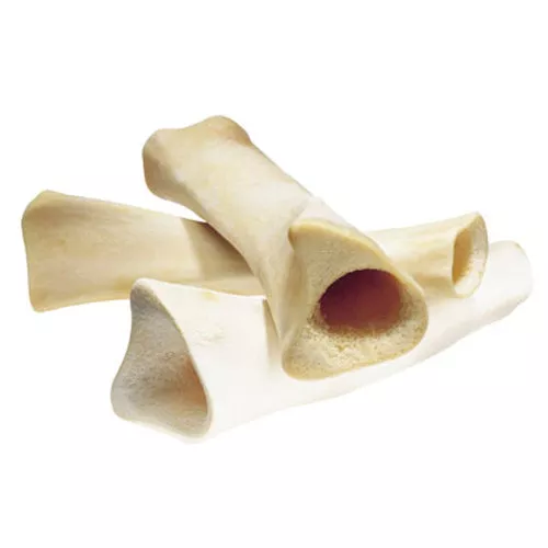 Redbarn Pet Products, Redbarn Pet Products White Bone Dog Chew, 7 Oz Large (1 Piece)