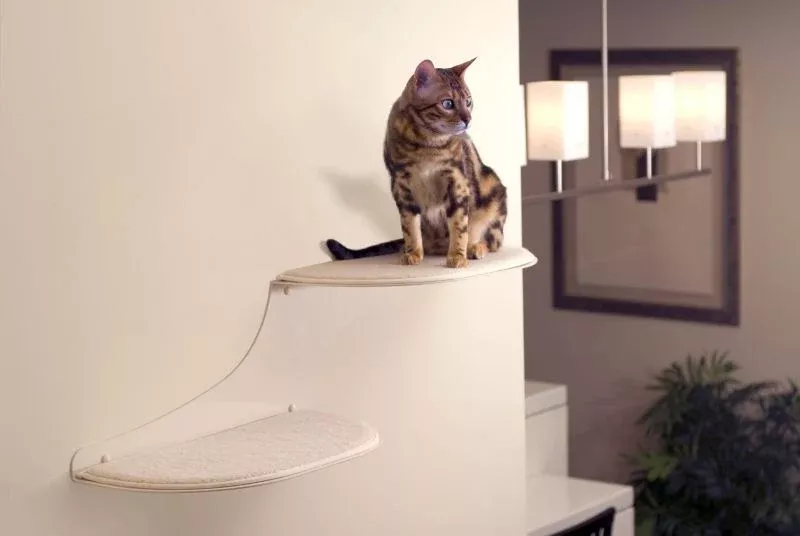 Refined Feline Cat Clouds Cat Shelf