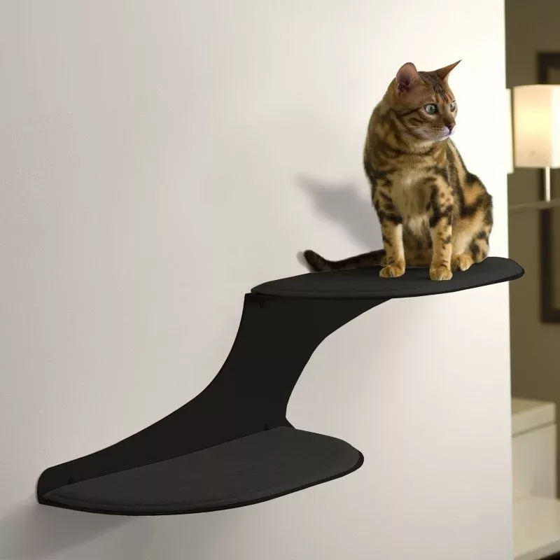 RefinedKind Cat Clouds Black Cat Shelf