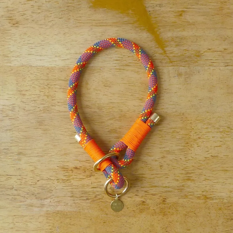 Rex Slip Collar – Orange Orange