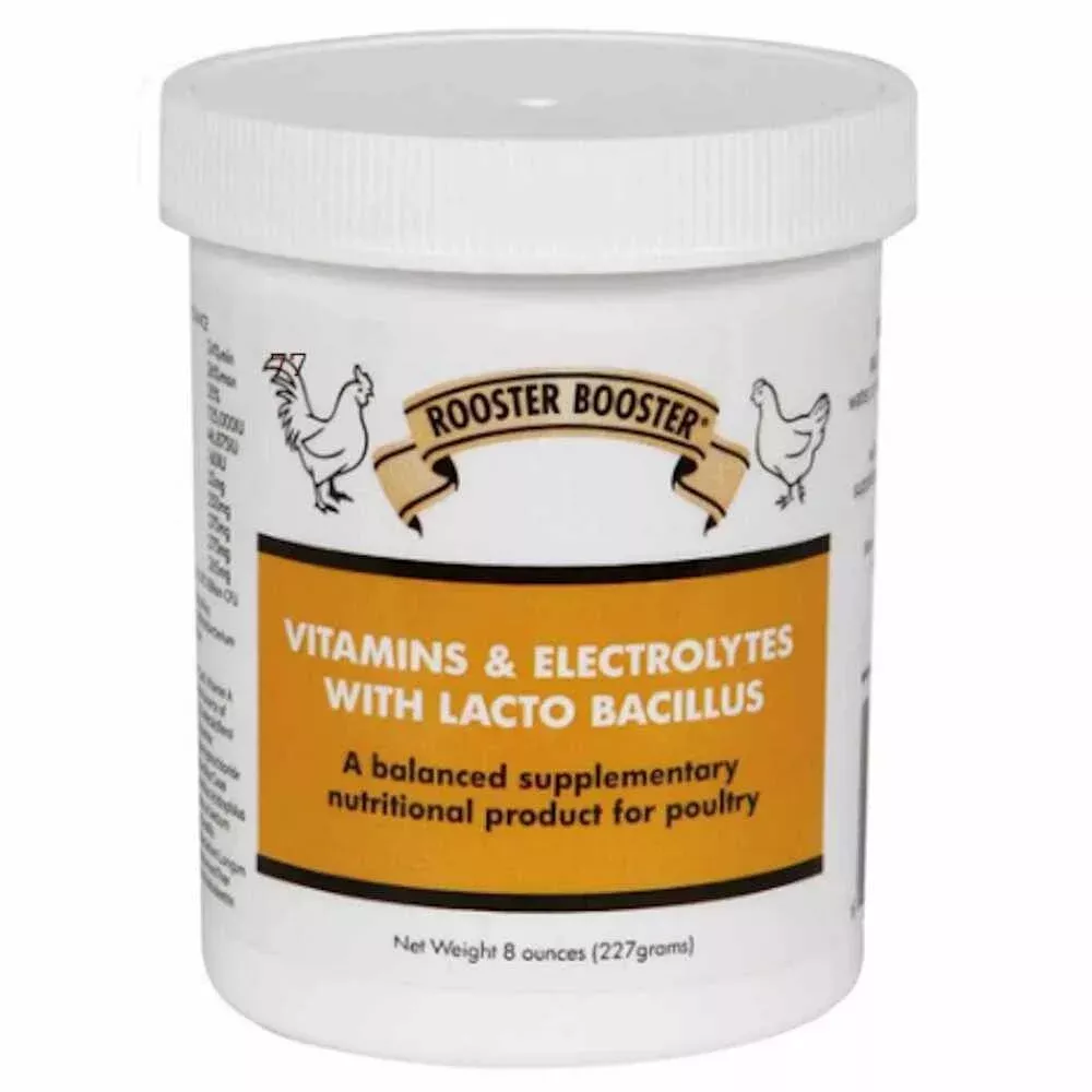 Rooster Booster: VITAMINS & ELECTROLYTES W/ LACTO BACILLUS – 8 OZ