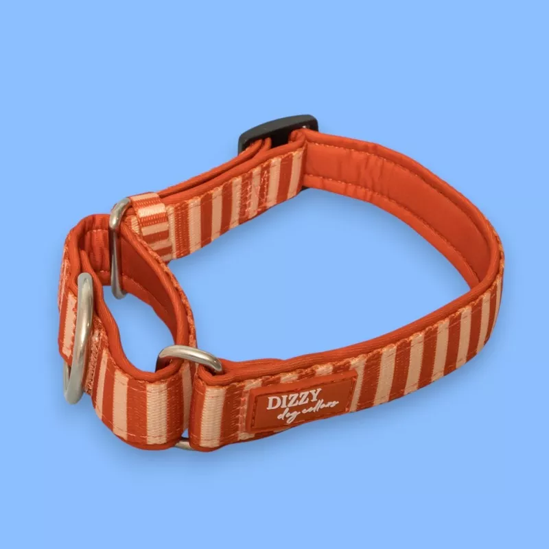 Rusty Ridge Martingale Collar| Stainless Steel