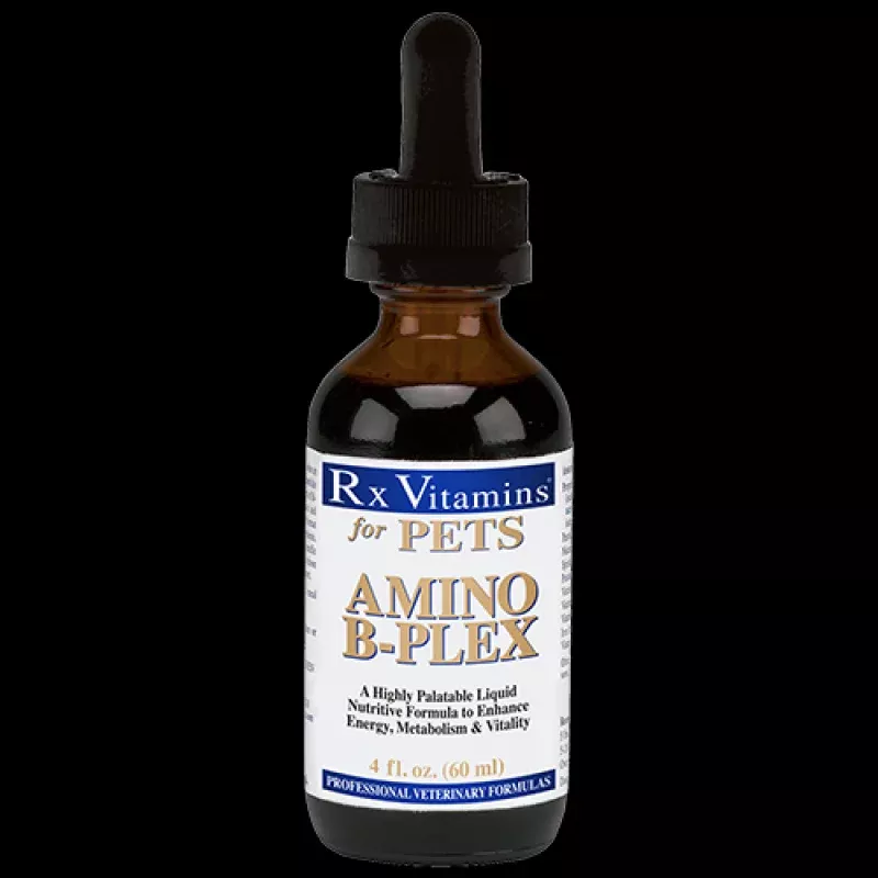 RX Vitamins Amino B-Plex 4 fl oz