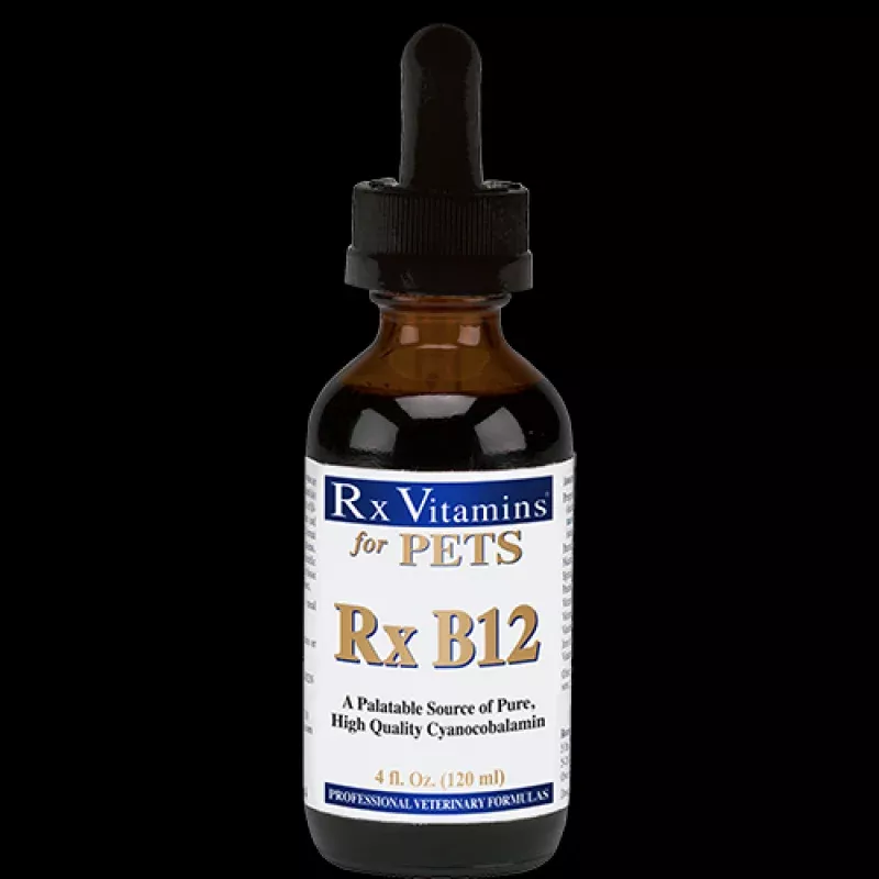 RX Vitamins B12 4 fl oz