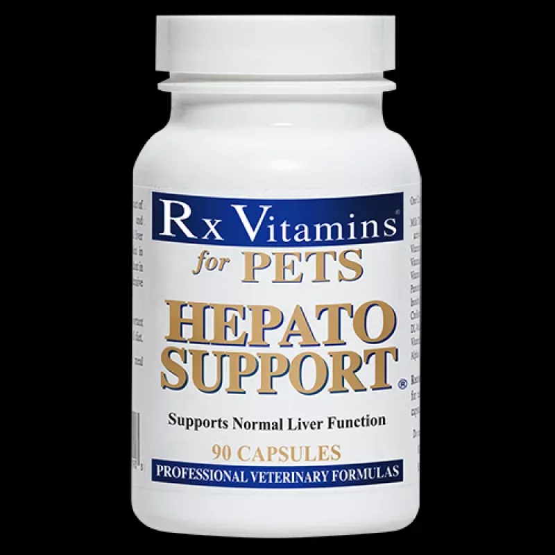 RX Vitamins Hepato Support (90 Capsules)