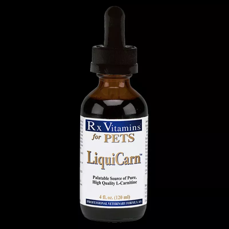 RX Vitamins LiquiCarn 4 fl oz